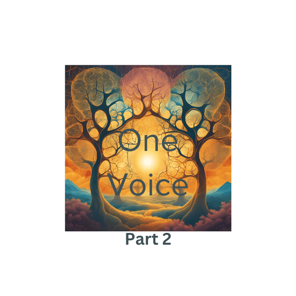 Part 2 The One Voice Collaboration Network and Principles